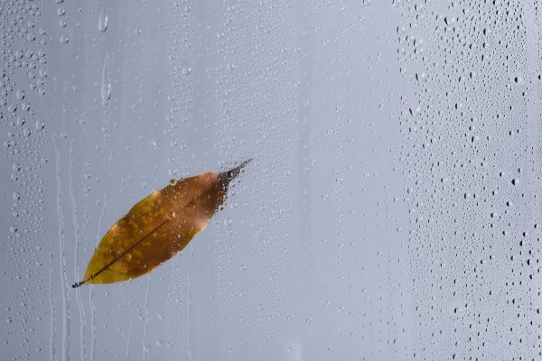 Humidité sur une vitre avec une feuille d'automne