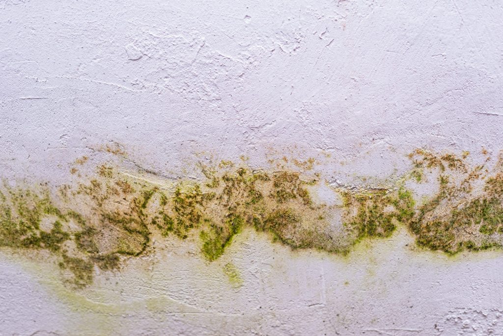 Humidité dans la maison : comprendre les bases | Guide Artihome France