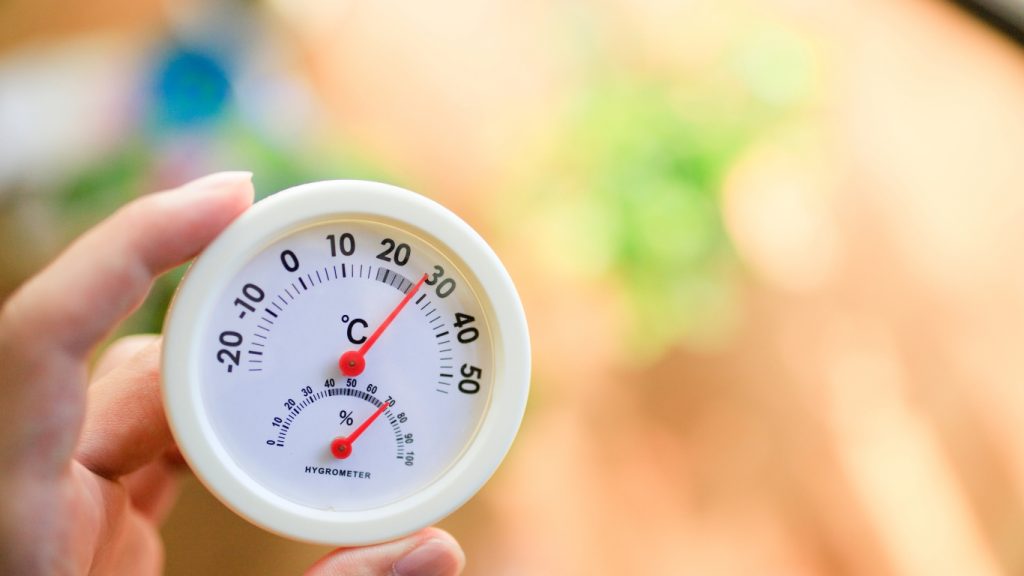 Type diagnostics humidité : quels sont-ils ? | Artihome France