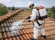 homme qui applique un traitement anti mousse sur toiture | Artihome France