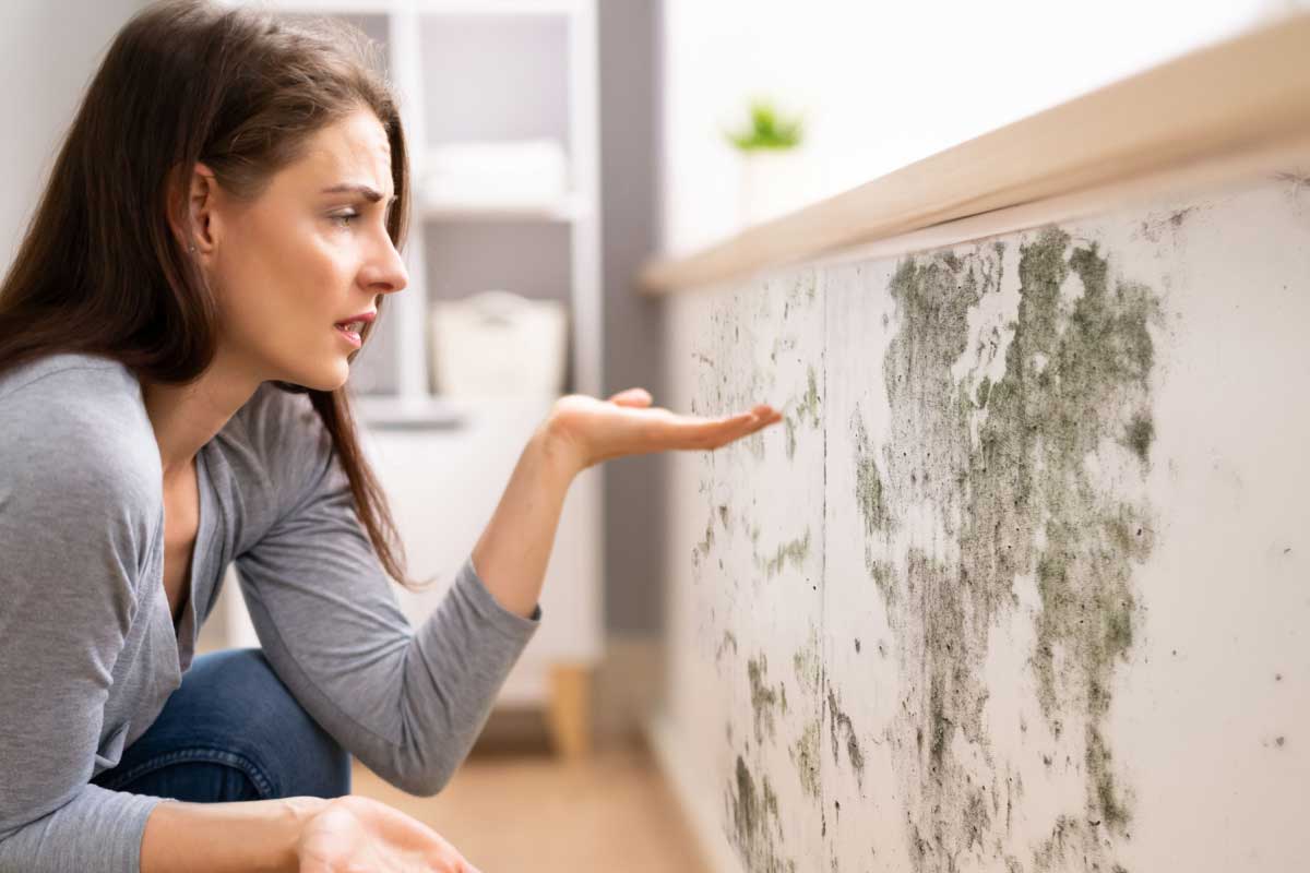 Que faire sur un mur humide ? 7 actions immédiates à prendre [2026]