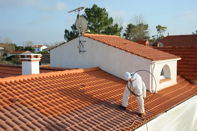 Traitement toiture guide complet | Artihome
