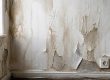 Comment habiller un mur humide temporairement, mur avec taches d'eau avant traitement | Artihome