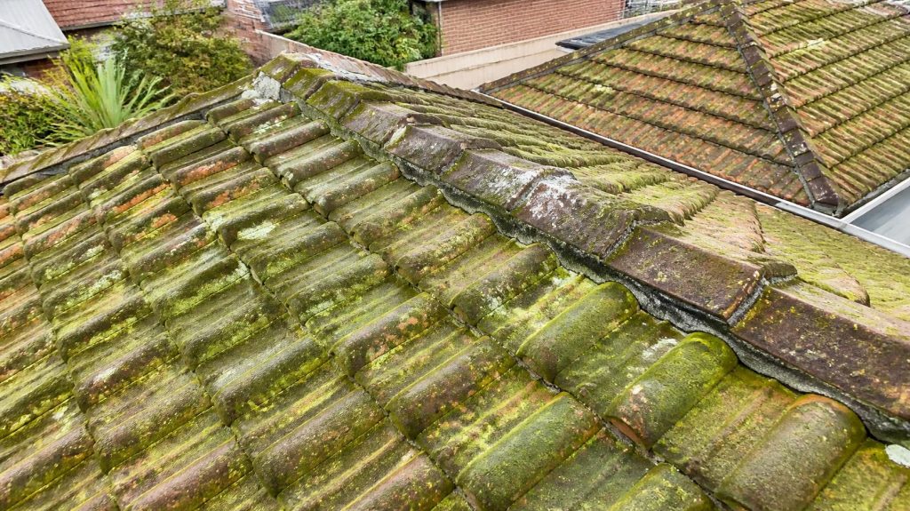 Toiture couverte de mousse et d'algues, avant de nettoyer la toiture sans l'abîmer | Artihome