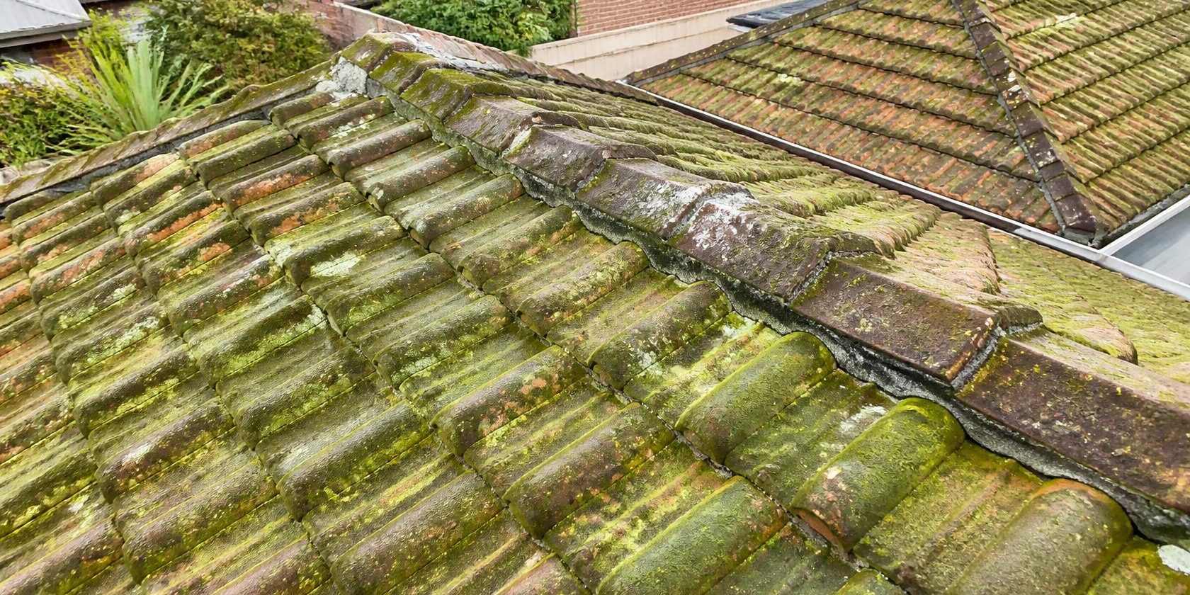 Comment nettoyer une toiture sans l’abîmer, toiture couverte de mousse | Artihome Toiture couverte de mousse et d'algues, avant de nettoyer la toiture sans l'abîmer | Artihome