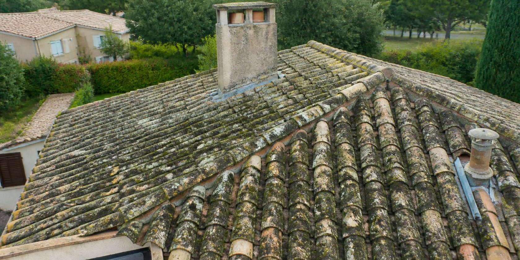 Toiture verdâtre couverte d'algues, avant de choisir le meilleur produit pour nettoyer la toiture | Artihome